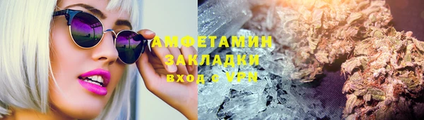 стаф Горняк