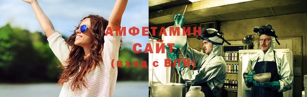стаф Горняк