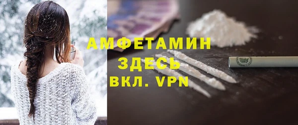 стаф Горняк