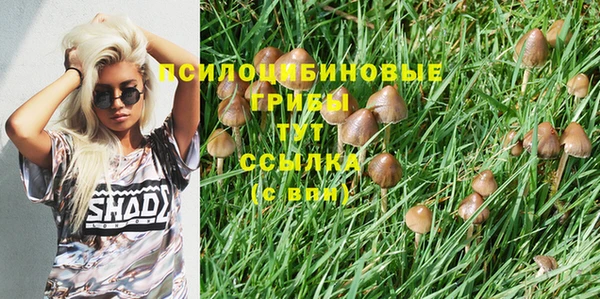 каннабис Горнозаводск