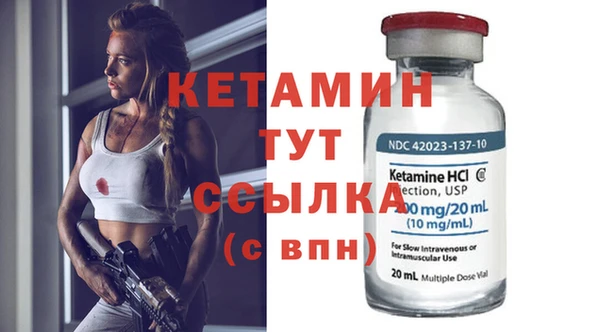стаф Горняк
