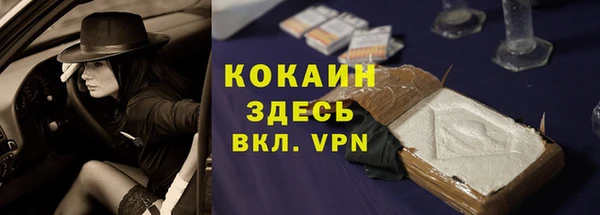 стаф Горняк