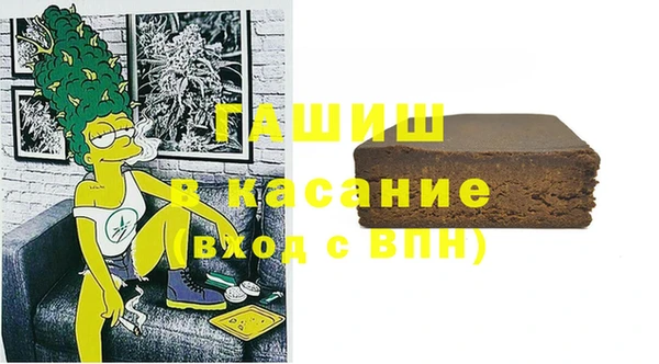 стаф Горняк