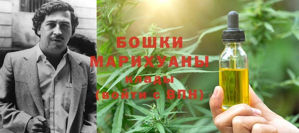 стаф Горняк